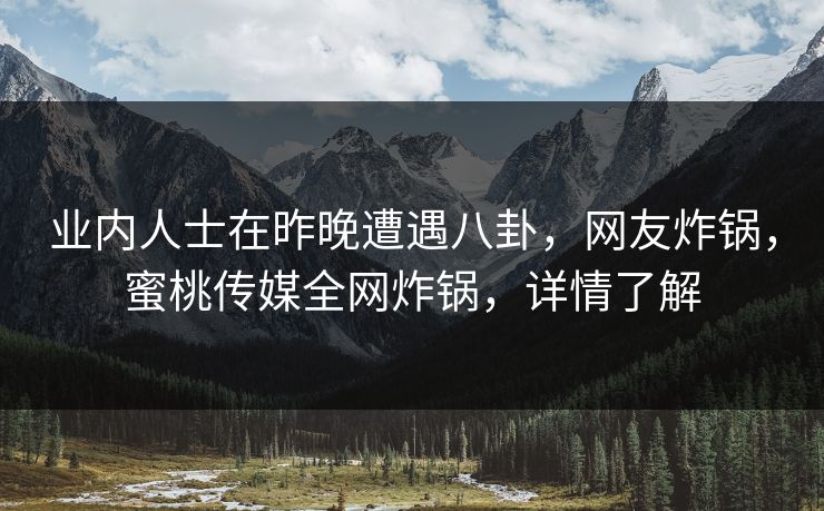 业内人士在昨晚遭遇八卦，网友炸锅，蜜桃传媒全网炸锅，详情了解