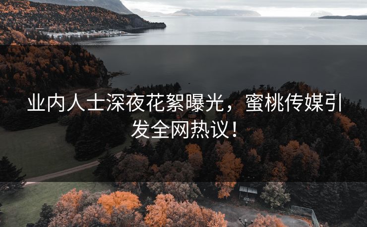 业内人士深夜花絮曝光，蜜桃传媒引发全网热议！