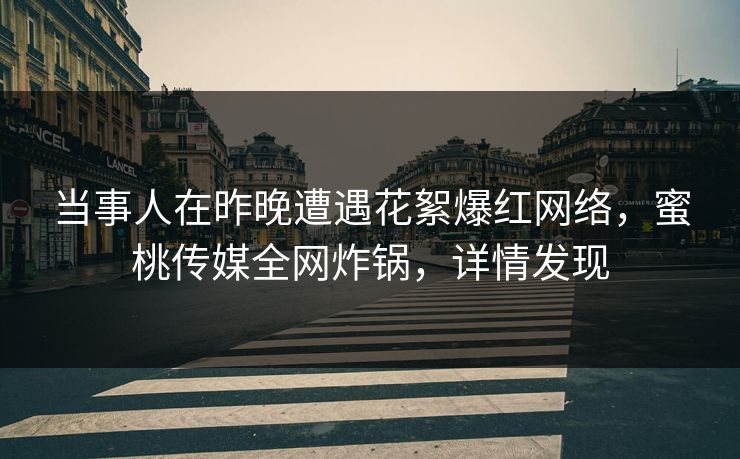 当事人在昨晚遭遇花絮爆红网络，蜜桃传媒全网炸锅，详情发现