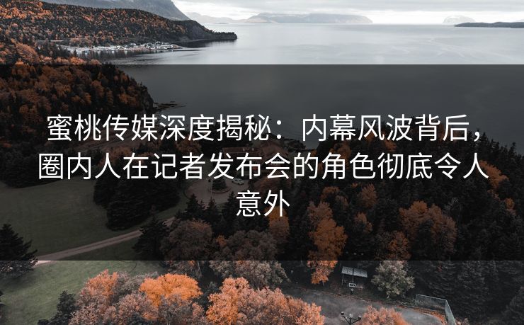 蜜桃传媒深度揭秘：内幕风波背后，圈内人在记者发布会的角色彻底令人意外